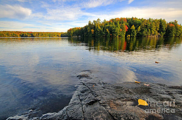 Ontario Poster featuring the photograph Lake with Fall Color by Charline Xia