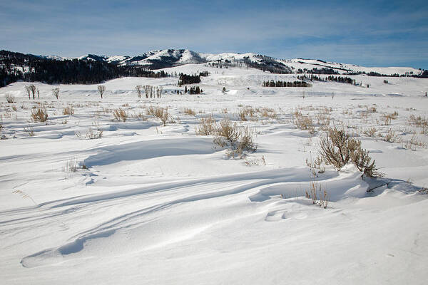 Lamar Valley Poster featuring the photograph Lamar Valley Winter Scenic by Jack Bell