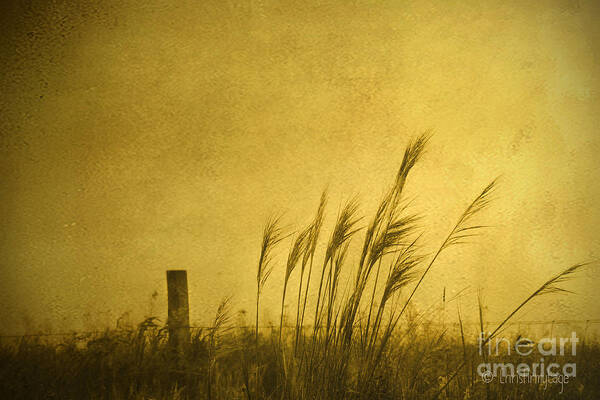 Photographic Art Poster featuring the photograph Land of Stillness by Chris Armytage