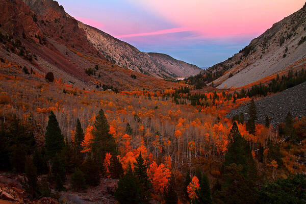 Fall Poster featuring the photograph Late autumn sunset at Lundy Canyon in the Eastern Sierras by Jetson Nguyen