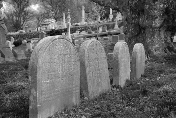 Cemetery Poster featuring the photograph Laurel Hill headstones by Jennifer Ancker