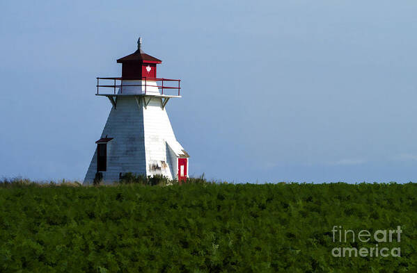 Lighthouse Poster featuring the photograph Lighthouse Prince Edward Island by Edward Fielding