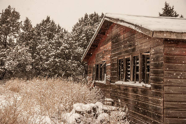  Barn Poster featuring the photograph Snowing Softly by Shirley Heier