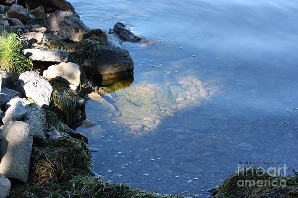 Balsam Lake Poster featuring the photograph Little Bay by Derek O'Gorman