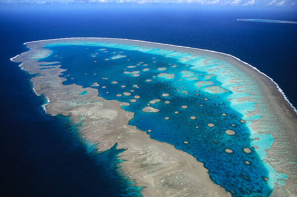 Feb0514 Poster featuring the photograph Llewellyn Reef Great Barrier Reef by D. & E. Parer-Cook
