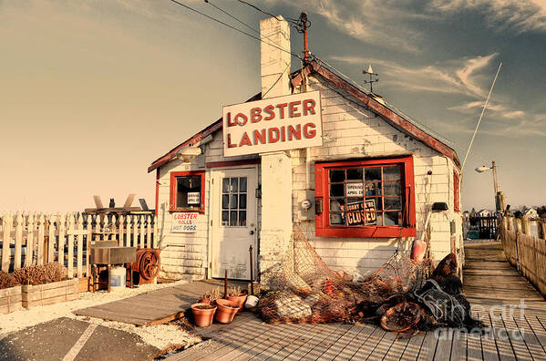 New England Poster featuring the photograph Lobster Landing Clinton Connecticut by Sabine Jacobs