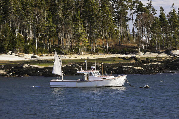 Maine Poster featuring the photograph Lobsterboat in Spruce Head Maine by Keith Webber Jr