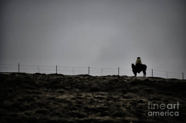 Dawn Poster featuring the photograph Lone Cowboy by Donna Greene