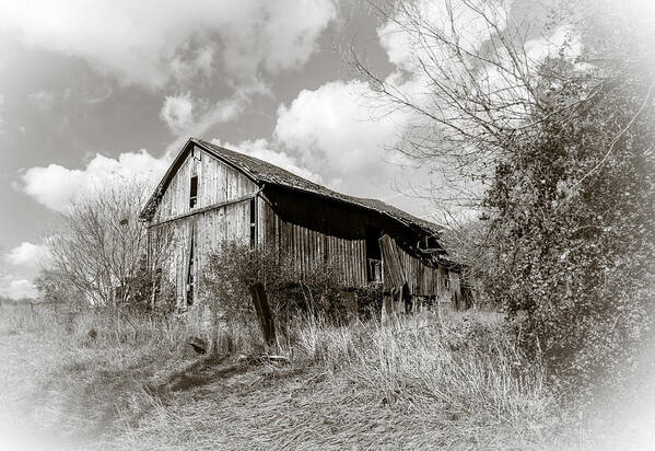 Barn Poster featuring the photograph Lonely Barn by Karen Varnas