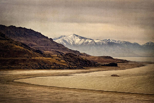 Antelope Island Poster featuring the photograph Lonesome Land by Priscilla Burgers