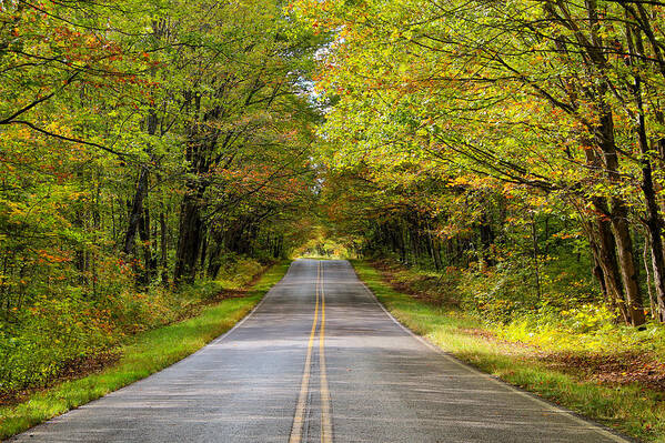 Long And Winding Road Poster featuring the photograph Long and Winding Road  2 by Rachel Cohen