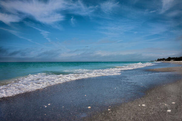 Longboat Poster featuring the photograph Longboat Key Glorious Day by Betsy Knapp