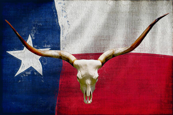 Texas Poster featuring the painting Longhorn Of Texas 2 by Jack Zulli