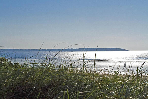 Beach Poster featuring the photograph Longing for Summer by John Hoey