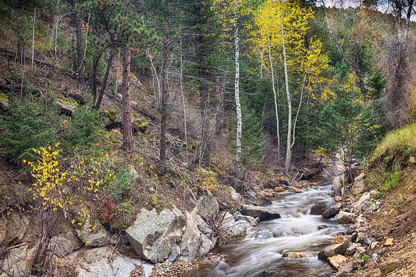 Colorado Poster featuring the photograph Looking Up the South St Vrain Canyon by James BO Insogna