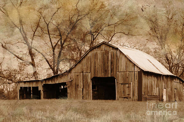 Old Wooden Barn Poster featuring the photograph Lost In The Past by Betty LaRue