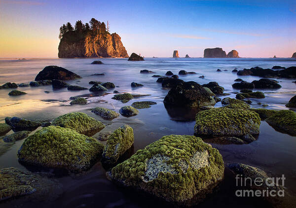 America Poster featuring the photograph Low Tide at Second Beach by Inge Johnsson