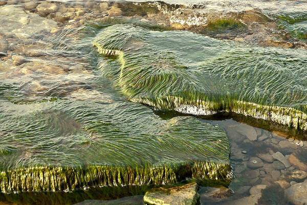 Landscape Poster featuring the photograph Low Water Algae by Lena Wilhite