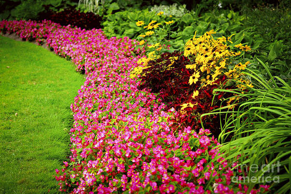 Garden Poster featuring the photograph Lush summer garden by Elena Elisseeva