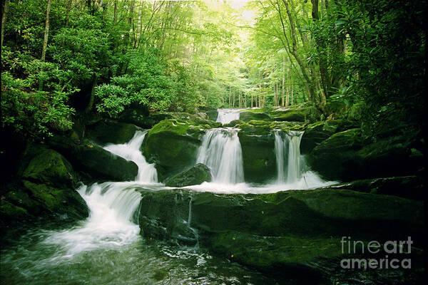 Green Poster featuring the photograph Lynn Camp Cascades by Teri Atkins Brown