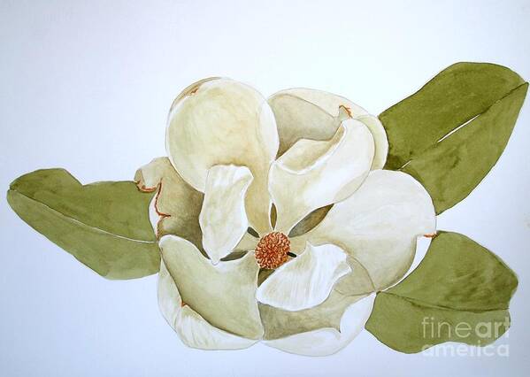Magnolia Watercolor Poster featuring the painting Magnolia Highlight by Nancy Kane Chapman