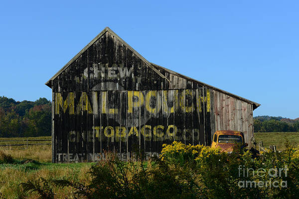 Paul Ward Poster featuring the photograph Mail Pouch Barn by Paul Ward
