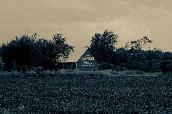 Mail Poster featuring the photograph Mail Pouch Tobacco Barn by Off The Beaten Path Photography - Andrew Alexander