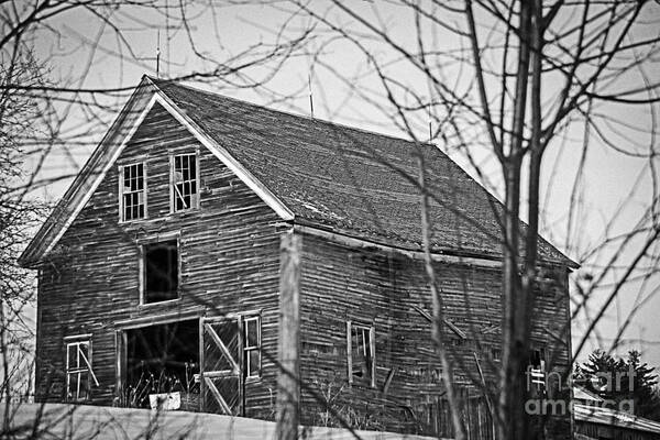 Maine Nature Photographers Poster featuring the photograph Maine Barn by Alana Ranney