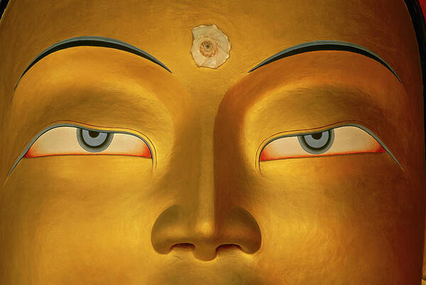 Hh Poster featuring the photograph Maitreya Close Up Of Buddha by Colin Monteath