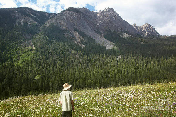 Field Poster featuring the photograph Man standing in a field of daisies in the mountains by Sandra Cunningham