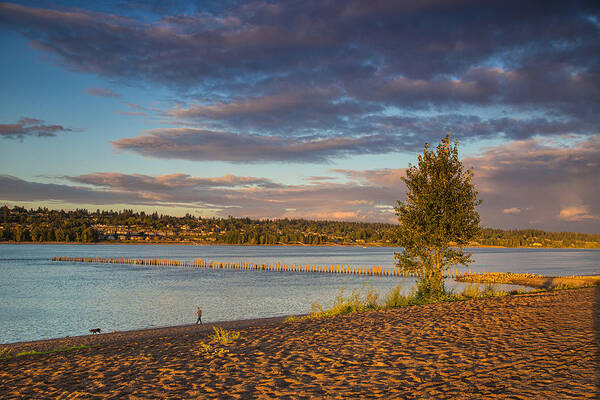 Portland Marine Drive Poster featuring the photograph Marine drive sunset by Kunal Mehra