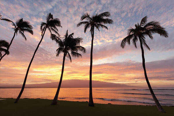 Ma'alaea Poster featuring the photograph Maui Sunrise by David Olsen