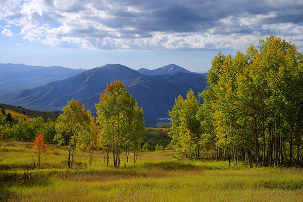 Nature Poster featuring the photograph Meadow Highlights by Chad Dutson