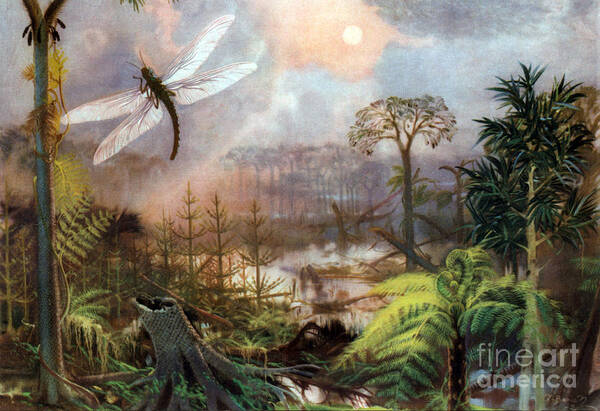 Flora Poster featuring the photograph Meganeura In Upper Carboniferous by Science Source