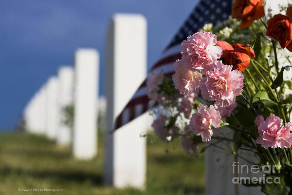 Memorial Day Poster featuring the photograph Memorial Day Beauty in the Sacrifice by Wayne Moran