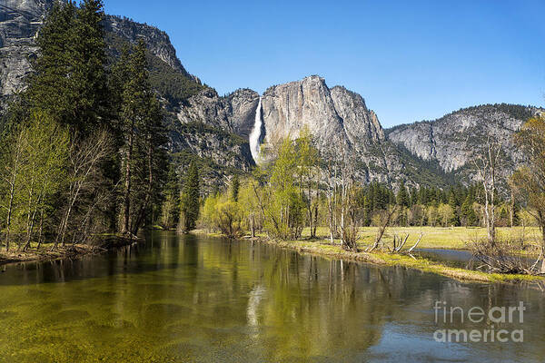 Yosemite Poster featuring the photograph Merced River and Yosemite Falls by Jane Rix