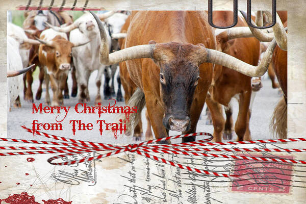 Christmas Poster featuring the photograph Merry Christmas from The Trail by Toni Hopper