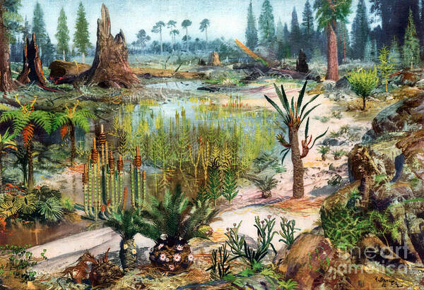 Flora Poster featuring the photograph Mesozoic Landscape by Science Source