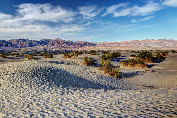 American Poster featuring the photograph Mesquite Flat Dunes by Heidi Smith