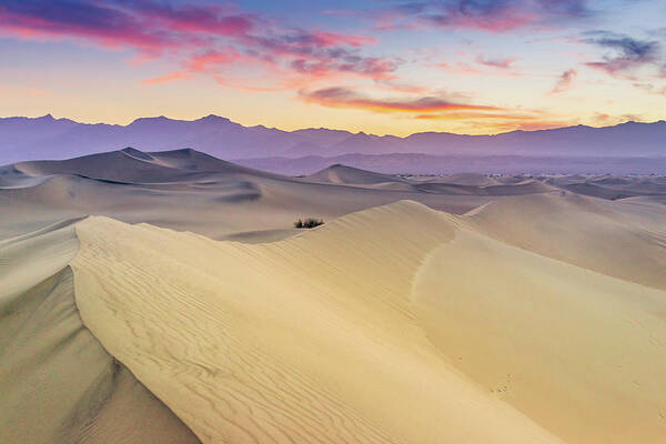 Tranquility Poster featuring the photograph Mesquite Flat Sand Dunes by Zx1106
