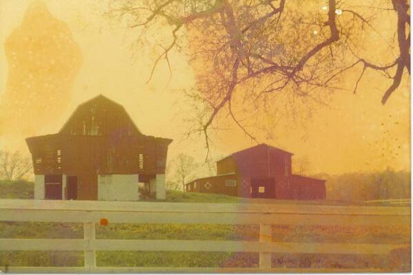 Michigan Fall Scene Poster featuring the photograph Michigan Barns by Robert Floyd