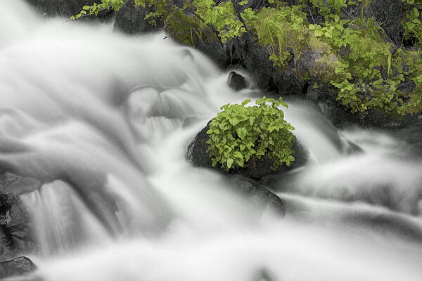 Milky Stream Poster featuring the photograph Milky Stream by Wes and Dotty Weber