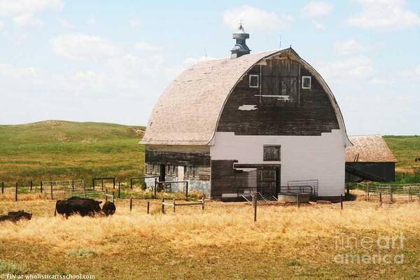 Minden Nebraska Farm Phjoto By Painterartistfin Poster featuring the photograph MINDEN NEBRASKA OLD FARM and BARN by PainterArtist FIN