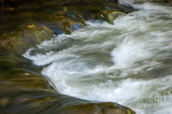 Mini Niagara Poster featuring the photograph Mini Niagara by Grace Grogan