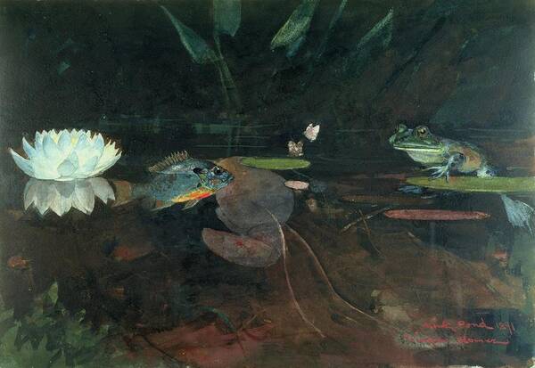 Frog;waterlily;lilypad;fish;pondlife;water Lily;exotic Poster featuring the painting Mink Pond by Celestial Images