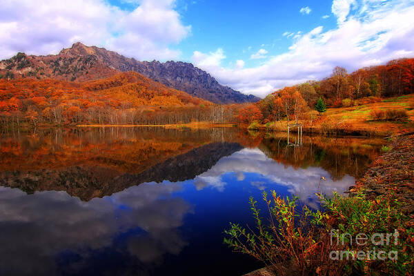 Mirror Lake Poster featuring the photograph Mirror Lake Autumn Landscape Reflections on Water by Beverly Claire Kaiya