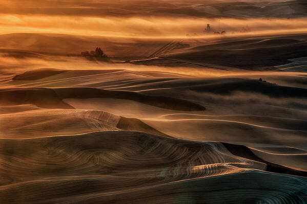 Palouse Poster featuring the photograph Misty Farmland by Lydia Jacobs