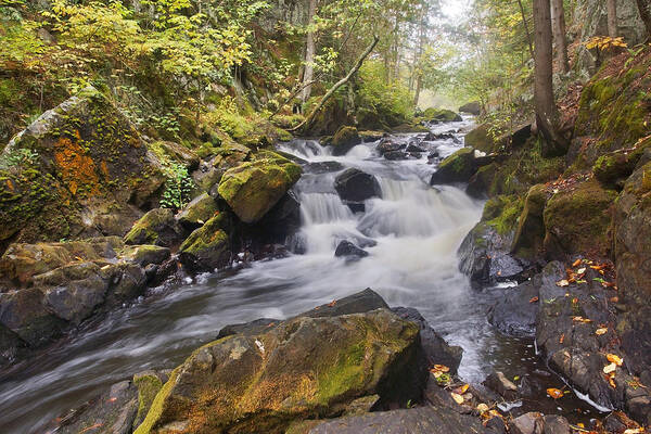 Smalley Falls Poster featuring the photograph Misty Morning at the Falls by Leda Robertson