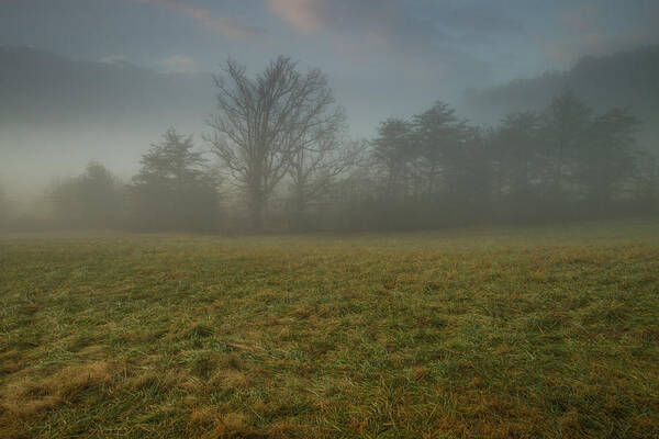 Landscape Poster featuring the photograph Misty Morning - Cades Cove by Doug McPherson