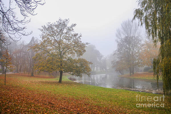 Abstract Poster featuring the photograph Misty morning in the park by Patricia Hofmeester